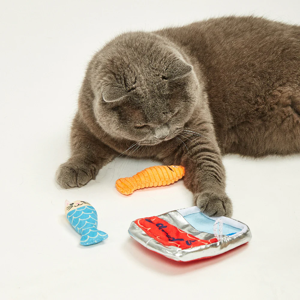 FOFOS Sardine Catnip Cat Toy - 5pcs - Image 4