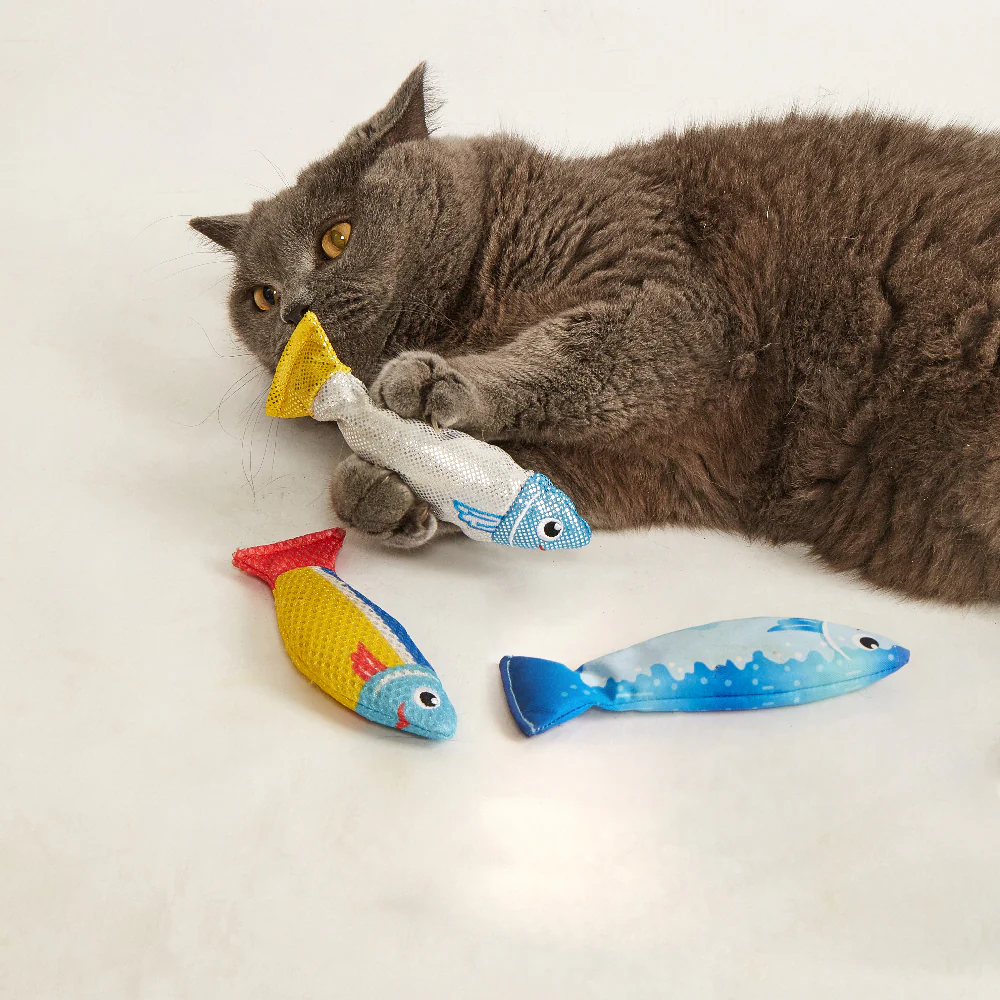 FOFOS Sardine Catnip Cat Toy - No.1 Fish 3pcs - Image 4