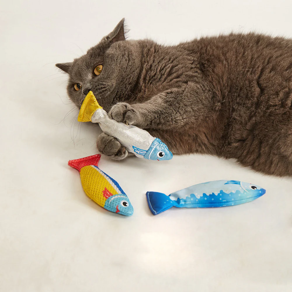 FOFOS Sardine Catnip Cat Toy - No.1 Fish 3pcs - Image 5
