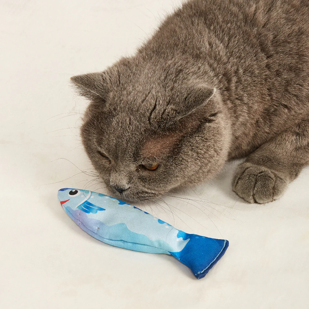 FOFOS Sardine Catnip Cat Toy - No.1 Fish 3pcs - Image 6