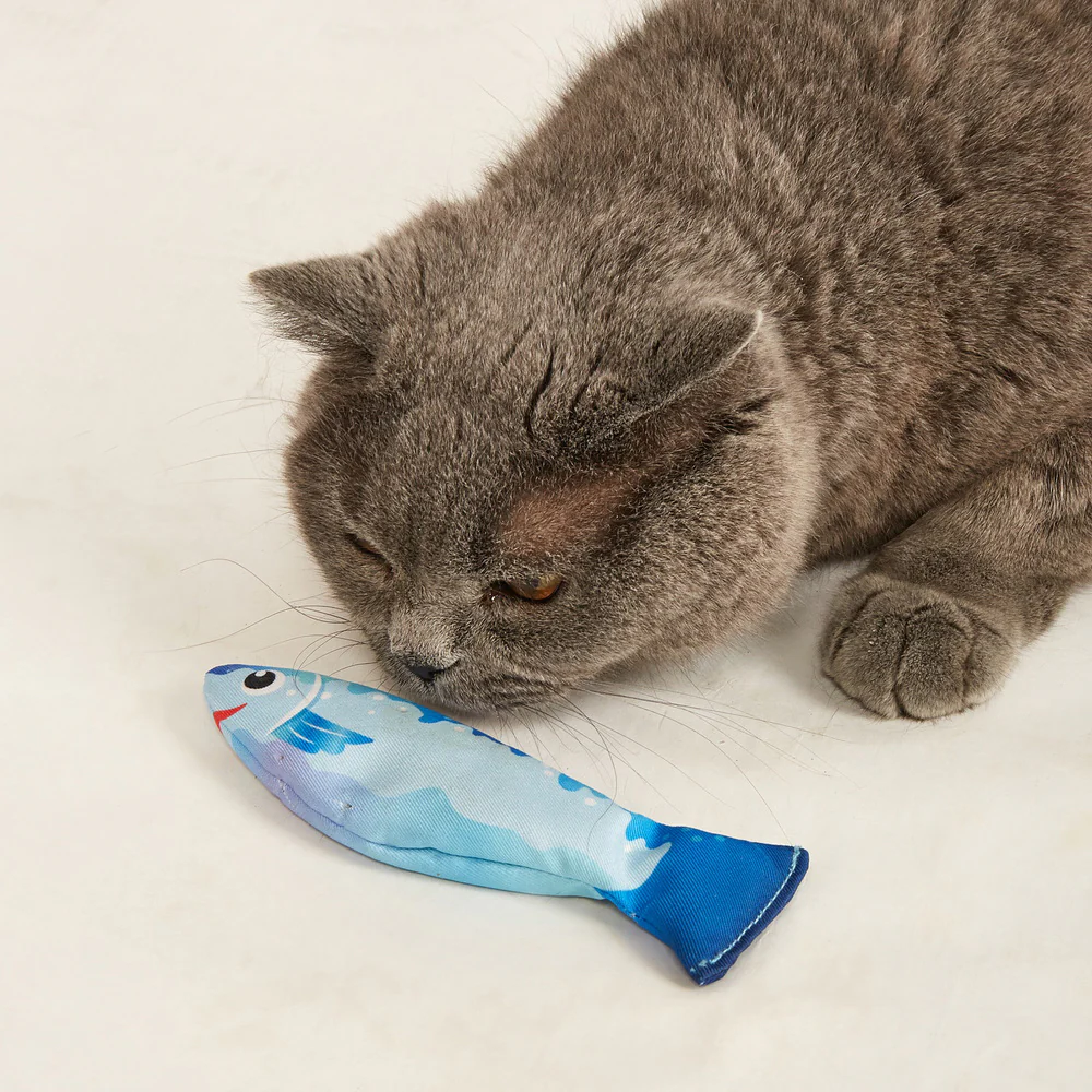 FOFOS Sardine Catnip Cat Toy - No.1 Fish 3pcs - Image 7