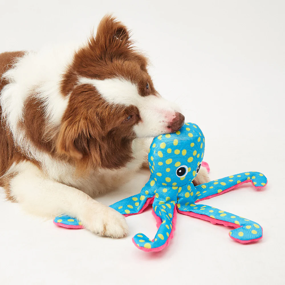 FOFOS Sealife Blue Octopus Plush Dog Toy - Image 4
