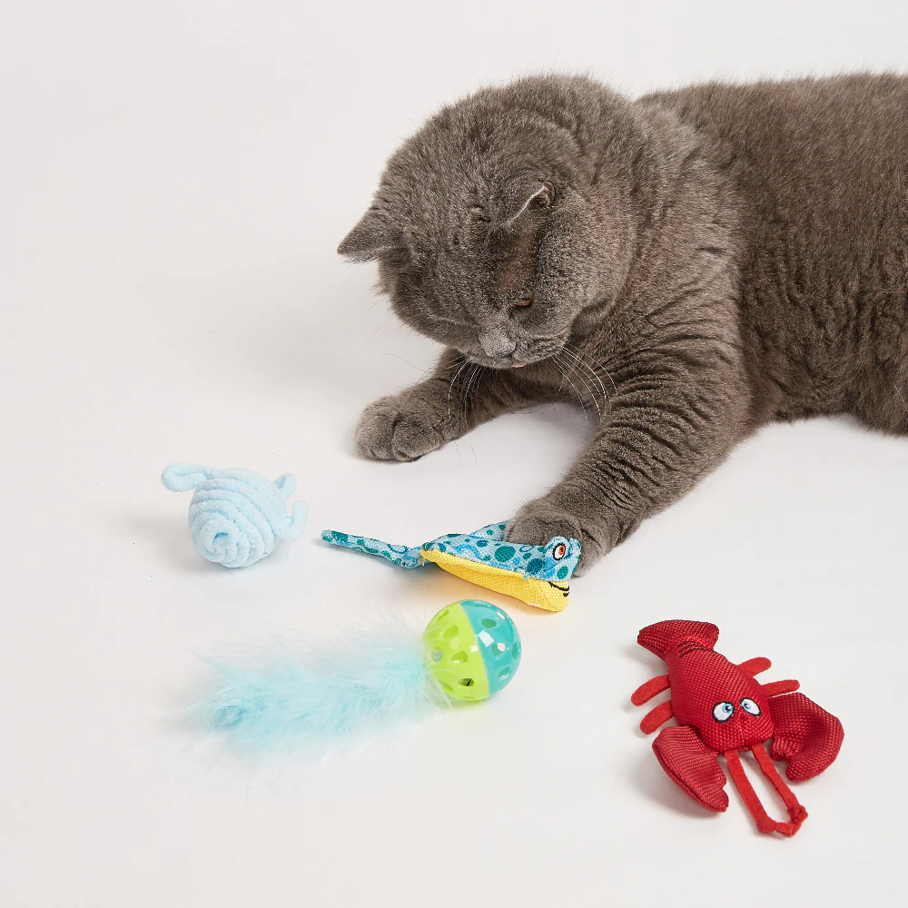 FOFOS Sealife Cat Toy - 4pcs - Image 4