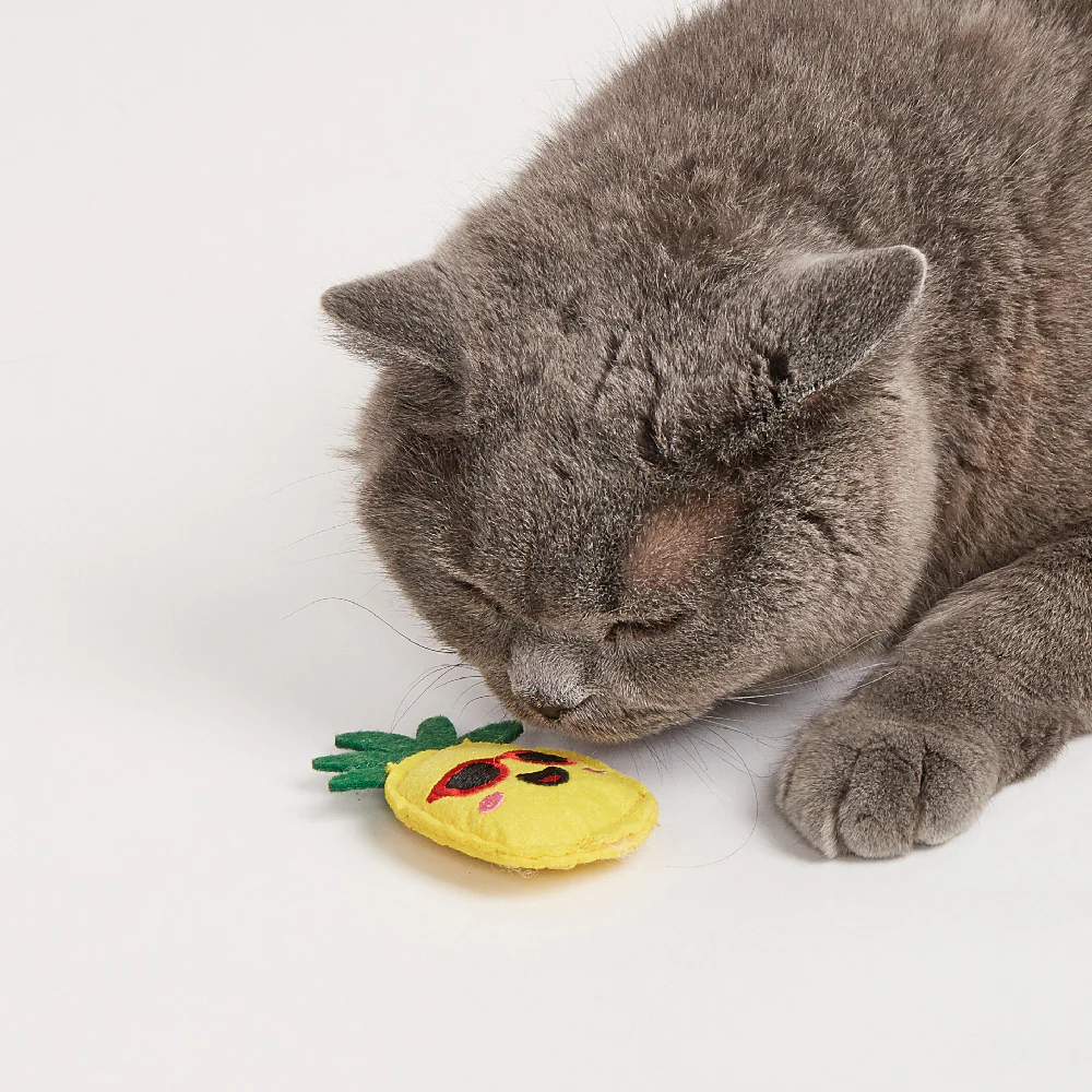 FOFOS Sealife Cat Toy - No.2 6pcs - Image 2