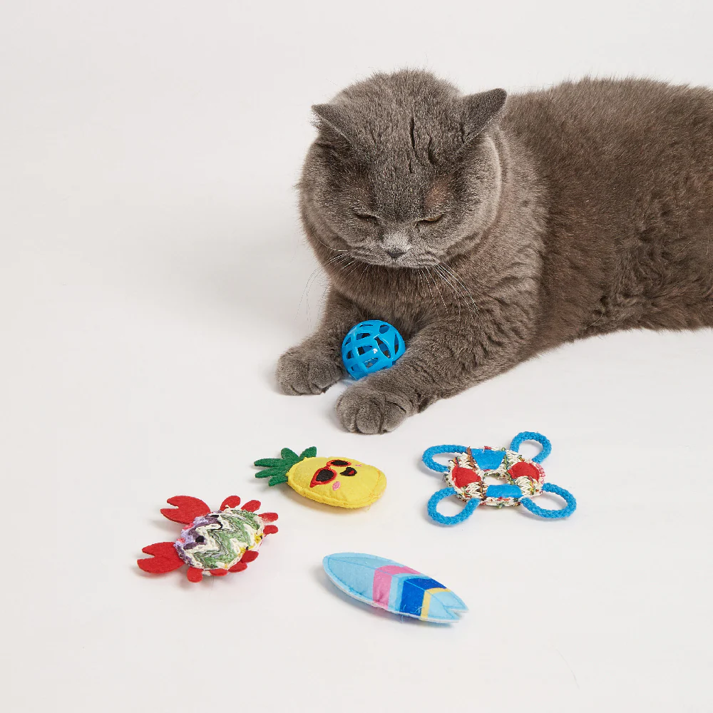 FOFOS Sealife Cat Toy - No.2 6pcs - Image 3