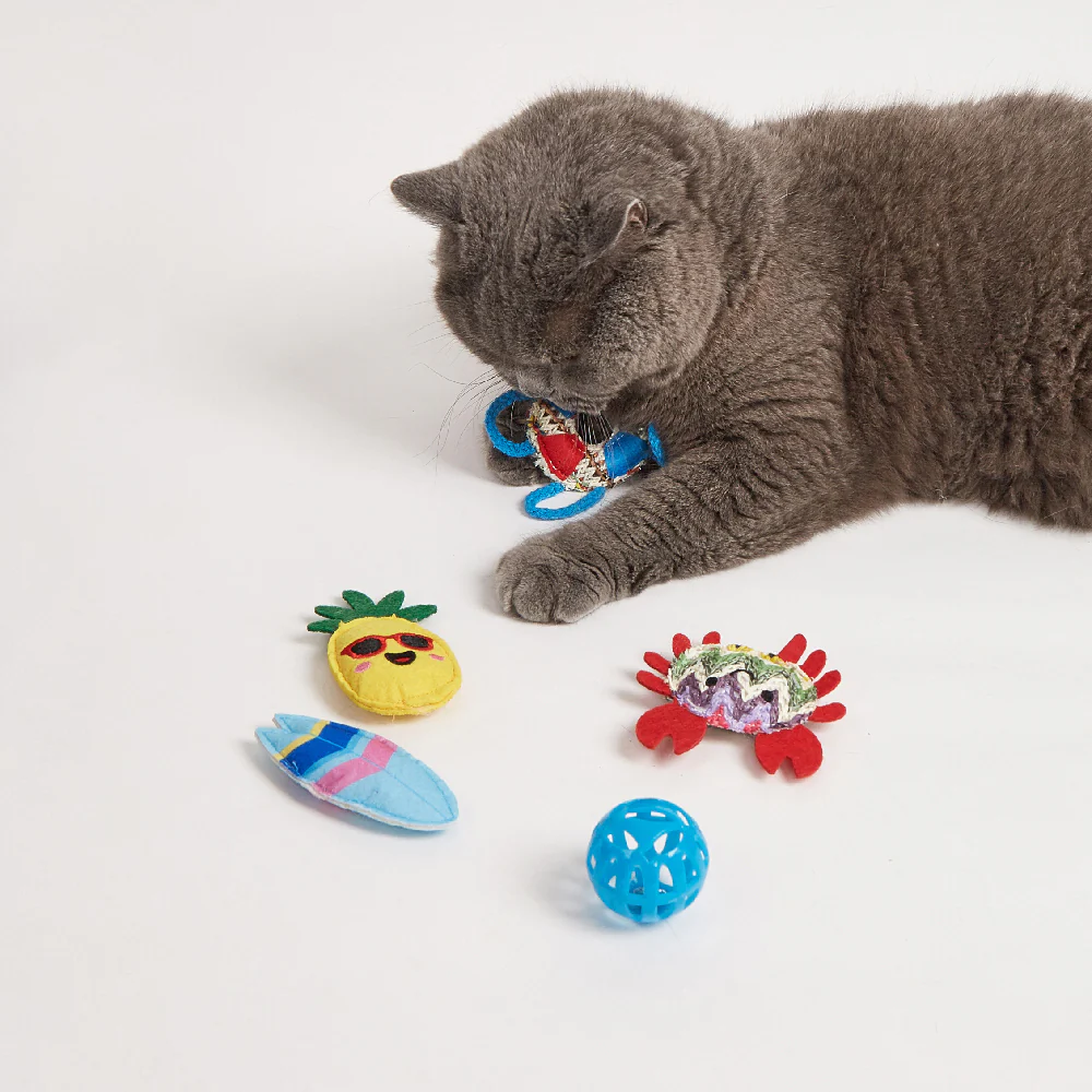 FOFOS Sealife Cat Toy - No.2 6pcs - Image 4