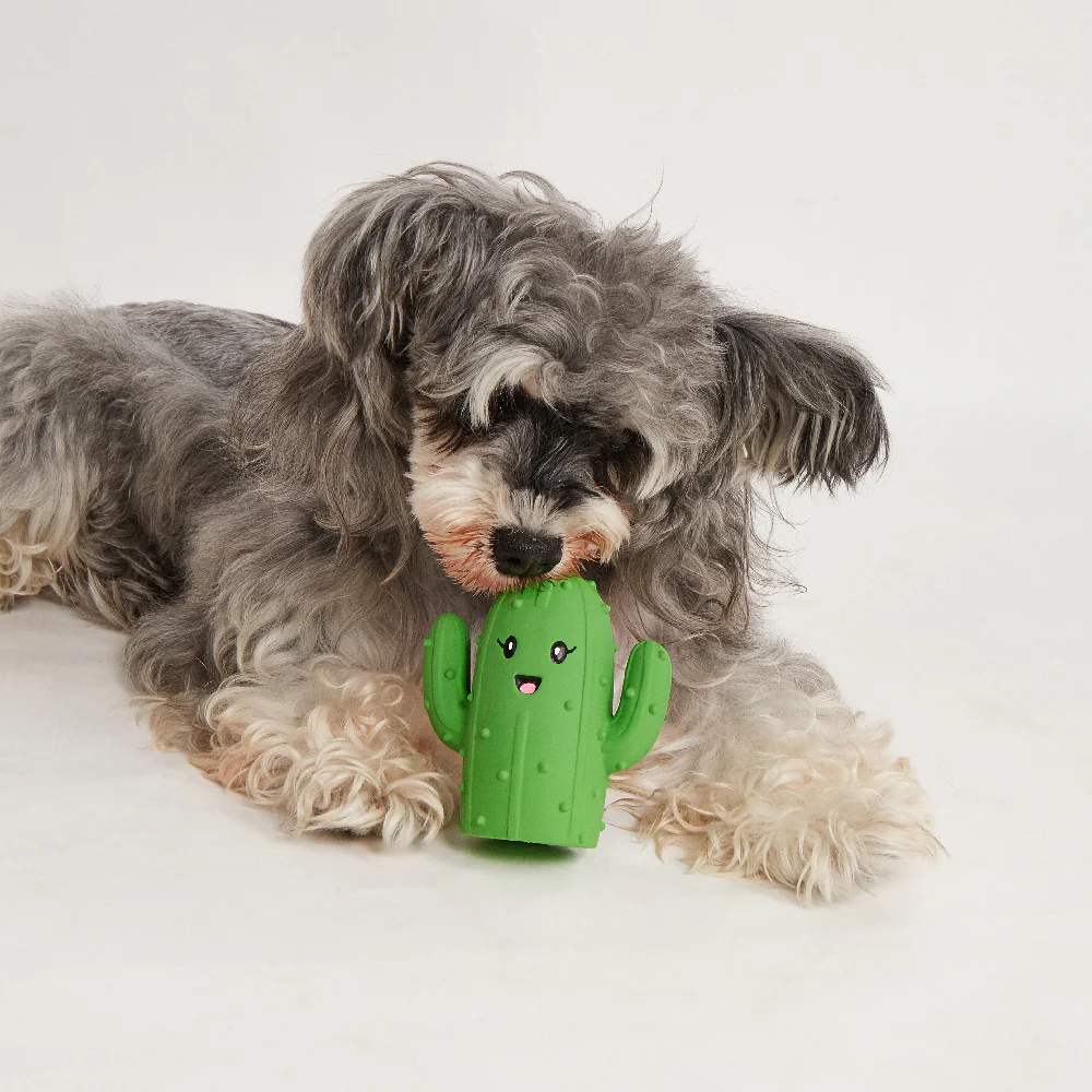 FOFOS Summer Latex Squeaky Dog Toy 3pcs - Image 2