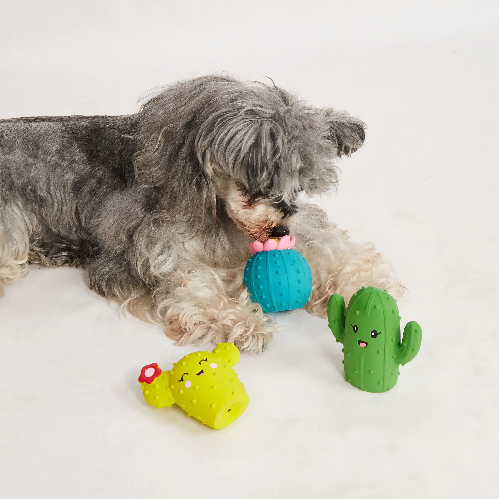 FOFOS Summer Latex Squeaky Dog Toy 3pcs - Image 3