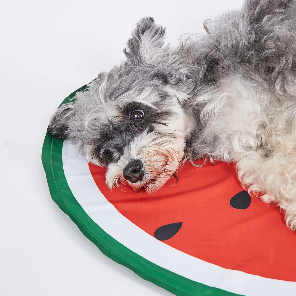 FOFOS Watermelon Cooling Dog Mat - Dia 60cm - Image 4