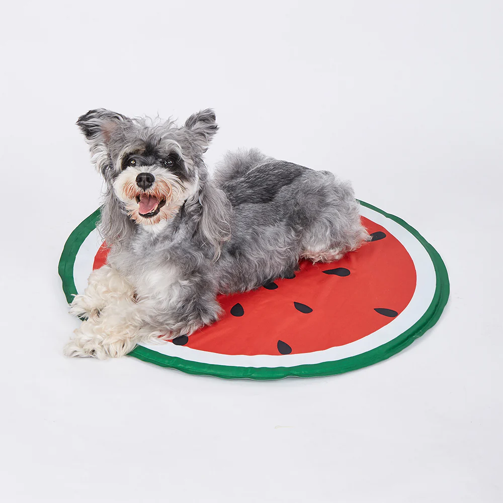 FOFOS Watermelon Cooling Dog Mat - Dia 60cm - Image 5