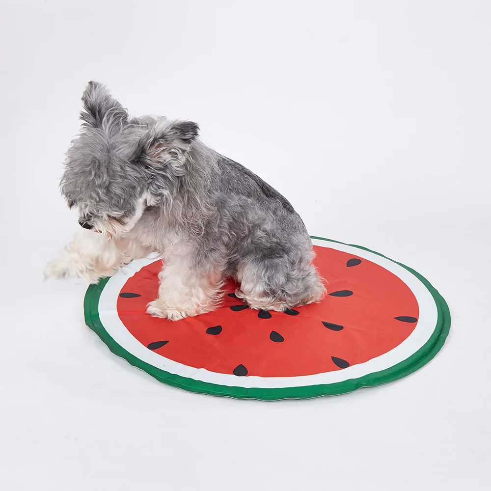FOFOS Watermelon Cooling Dog Mat - Dia 60cm - Image 6