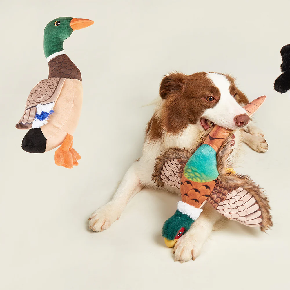 FOFOS Wild Duck Plush Squeaky Dog Toy - Image 4