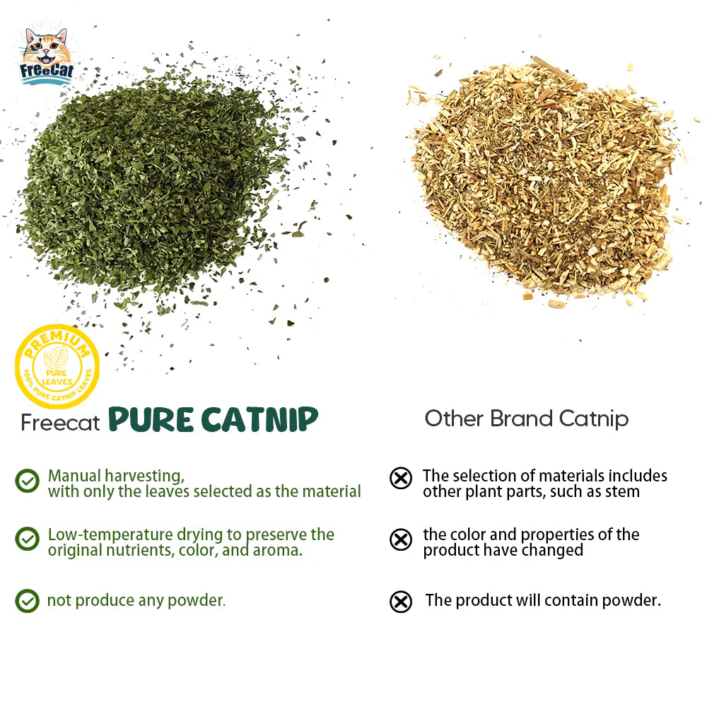 FREECAT All Natural Pure Catnip 15g - Image 6