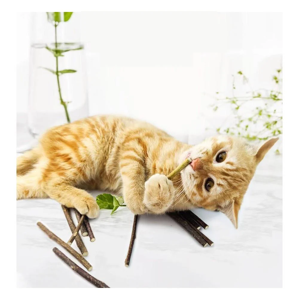GREPETS Silver Vine Kitten Catnip Elongated Dental Sticks 5pcs - Image 6