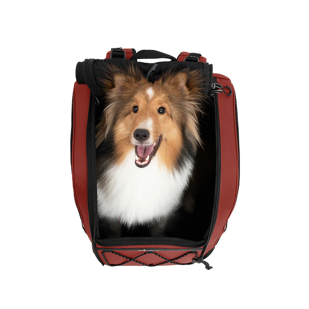 IBIYAYA Champion Large Dog Carrier Backpack Up To 12Kg - Image 10