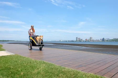 IBIYAYA The Hercules Stroller 2.0 For Up To 50kg - Image 8