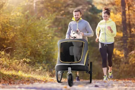 IBIYAYA The Hercules Stroller 2.0 For Up To 50kg - Image 9