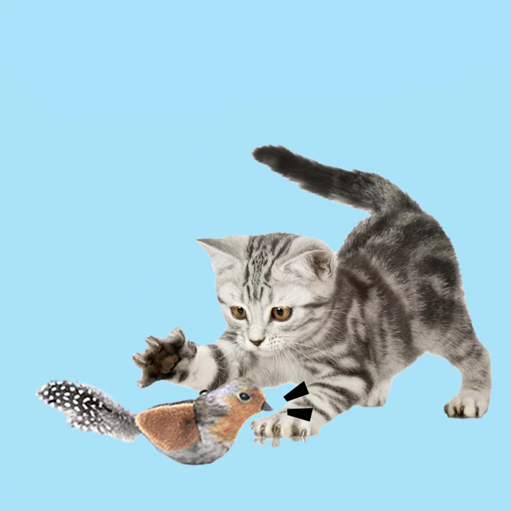 Interactive Chirping Bird Cat Toy – Catnip Sound Teaser Wand - Image 5