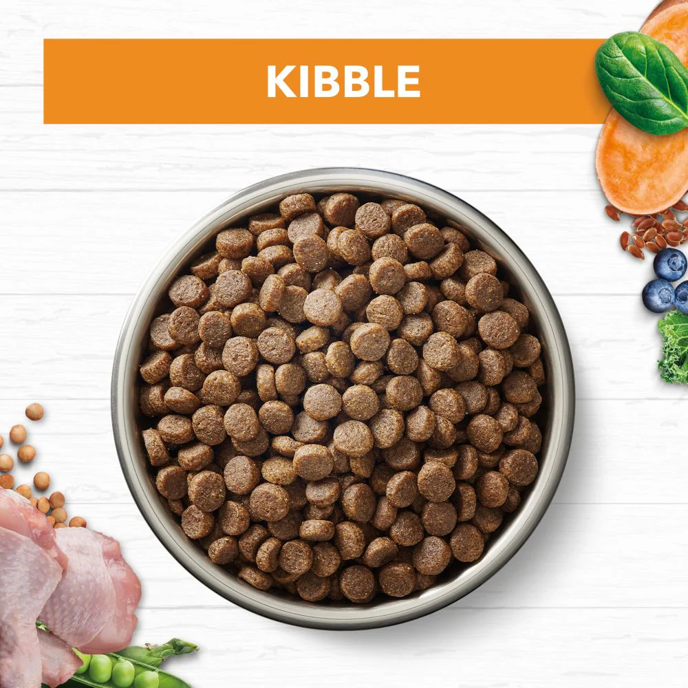 IVORY COAT Grain Free Chicken Adult Cat Food 2kg - Image 5