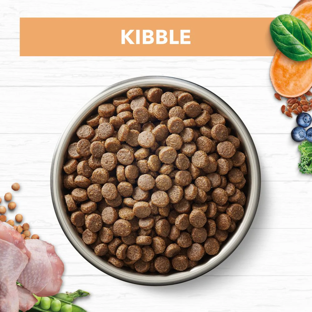 IVORY COAT Grain Free Chicken Kitten Cat Food 2kg - Image 4
