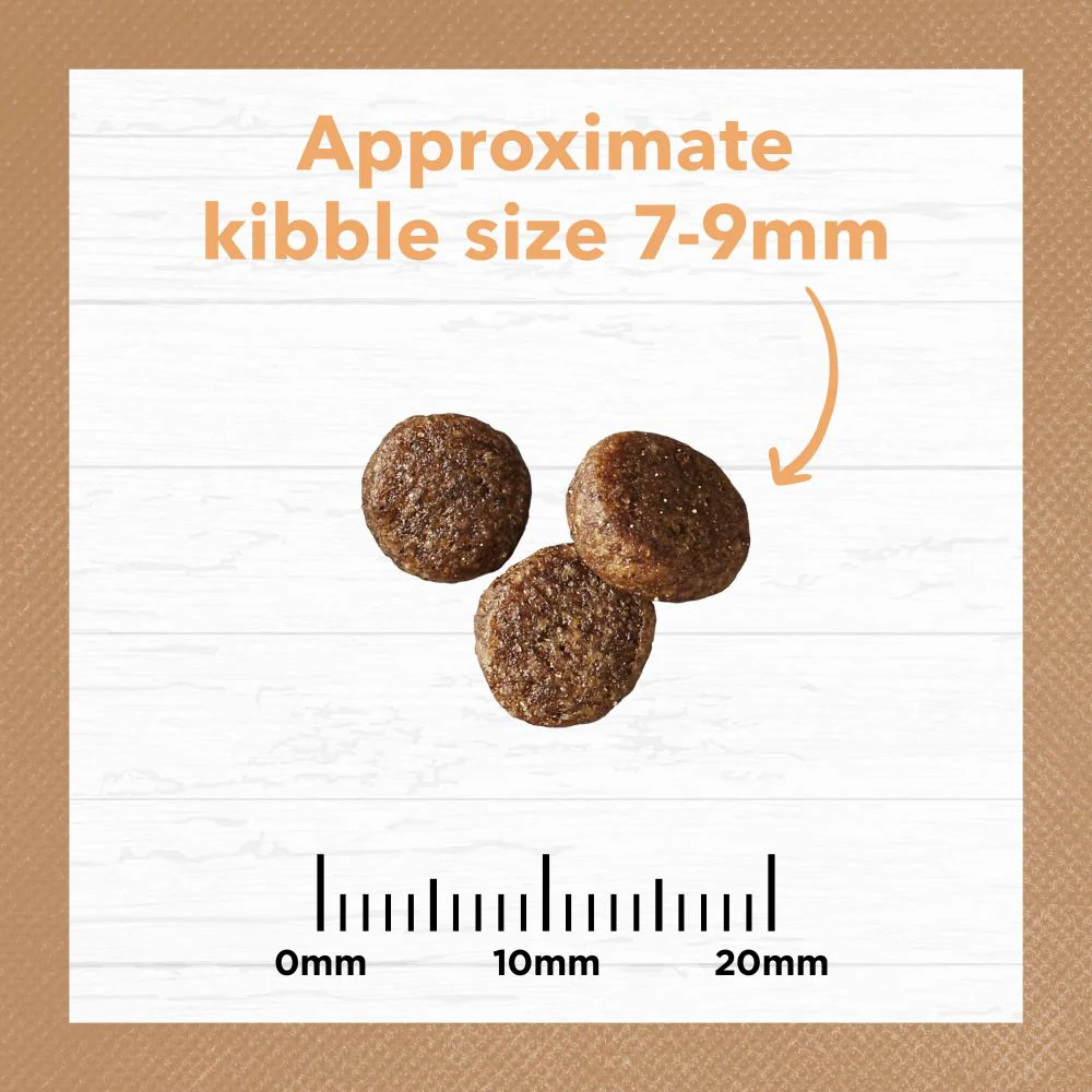 IVORY COAT Grain Free Chicken Kitten Cat Food 2kg - Image 5