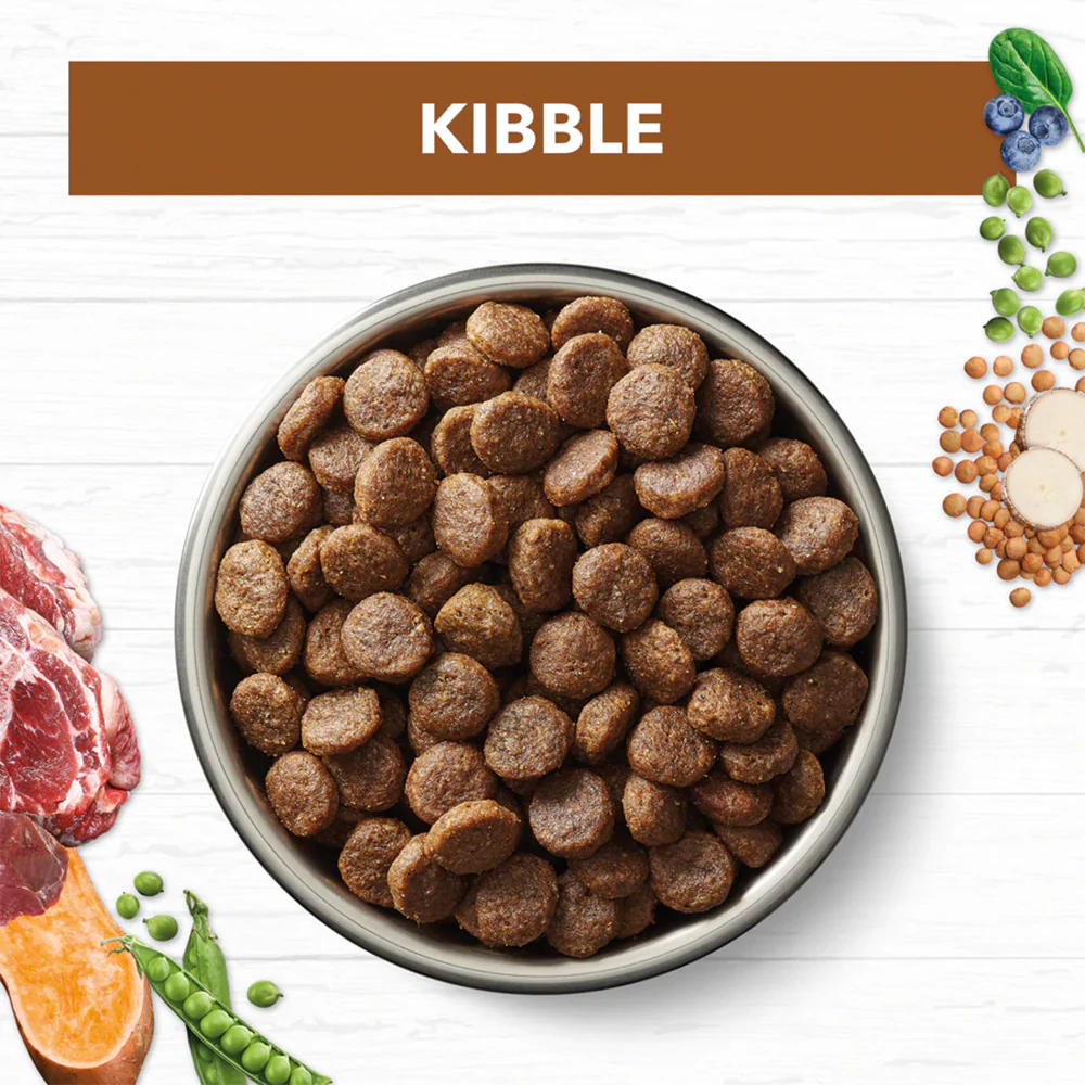 IVORY COAT Grain Free Lamb & Kangaroo Adult Dog Food 2kg - Image 3