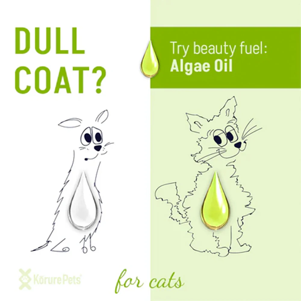 KORURE PETS Algae Oil Sustainable Omega-3 Supplement For Cats 50ml - Image 3