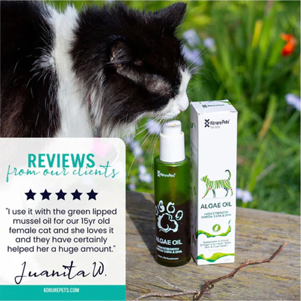 KORURE PETS Algae Oil Sustainable Omega-3 Supplement For Cats 50ml - Image 4
