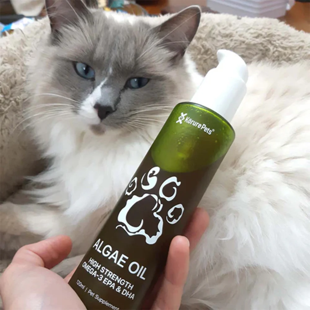 KORURE PETS Algae Oil Sustainable Omega-3 Supplement For Cats 50ml - Image 5