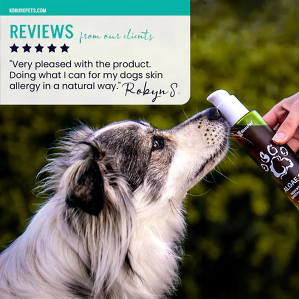 KORURE PETS Algae Oil Sustainable Omega-3 Supplement For Dogs 120ml - Image 5