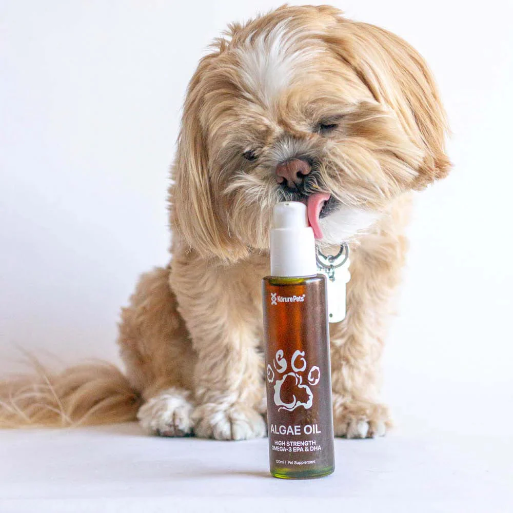 KORURE PETS Algae Oil Sustainable Omega-3 Supplement For Dogs 50ml - Image 4