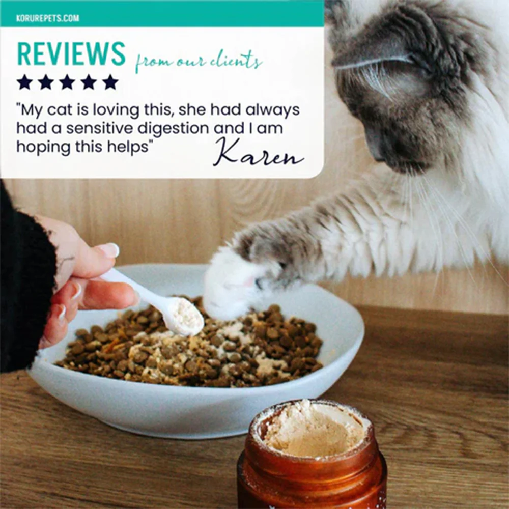 KORURE PETS Beef Bone Broth Powder For Cats 50g - Image 5