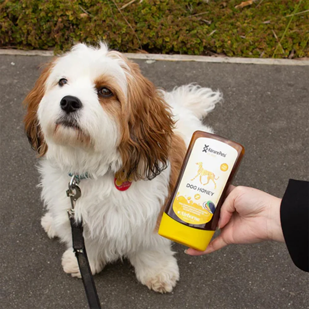 KORURE PETS Mussel Honey Immunity & Joint Dog Supplement 250g - Image 4