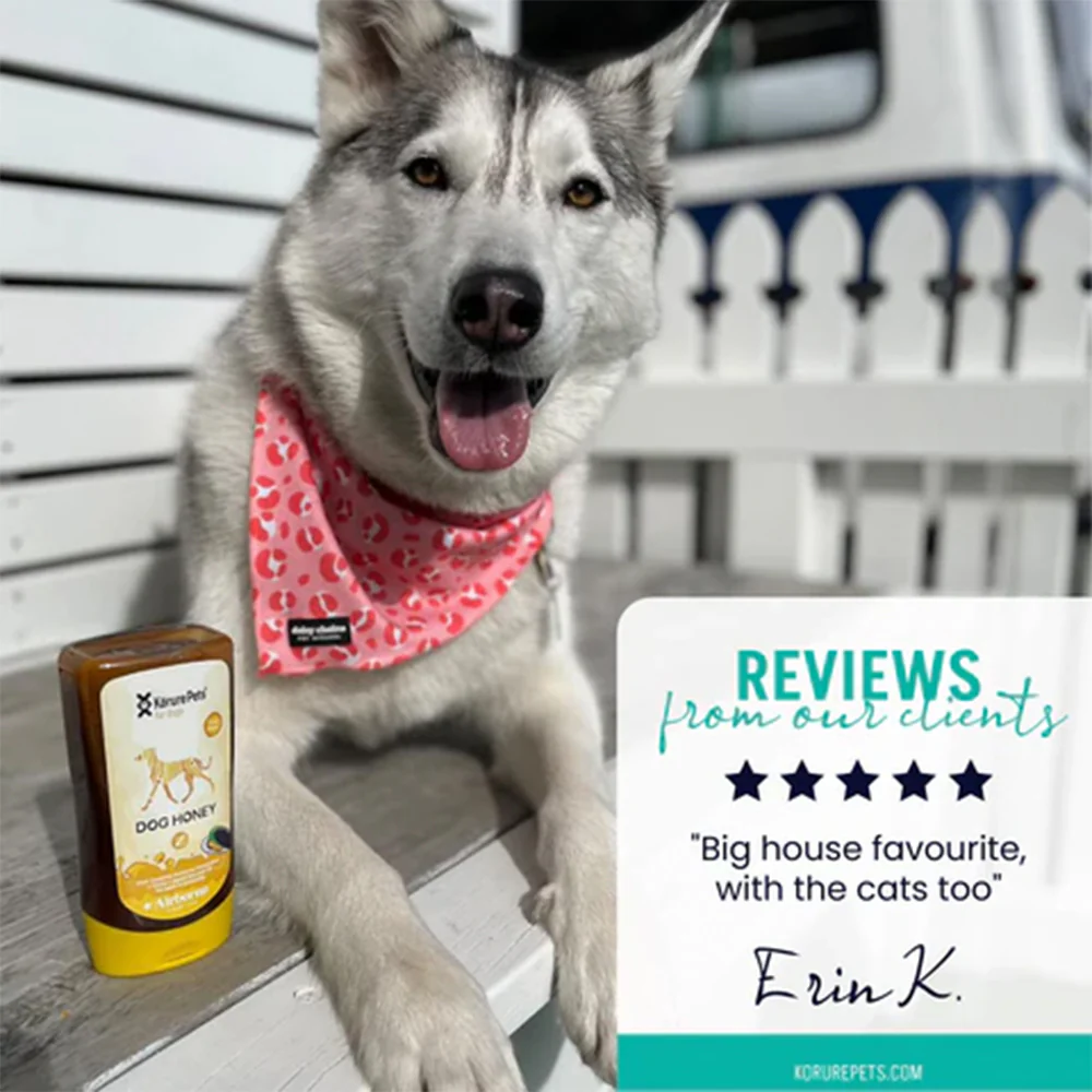 KORURE PETS Mussel Honey Immunity & Joint Dog Supplement 250g - Image 5