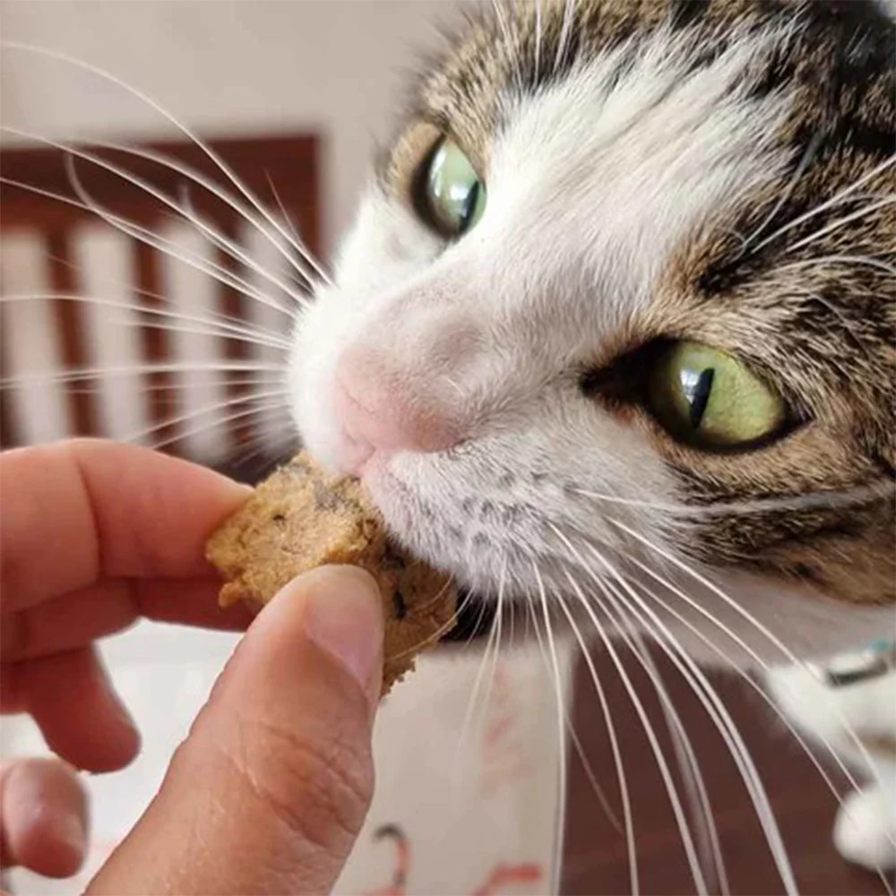 KORURE PETS NZ King Salmon Bites Cat Food Topper 50g - Image 3