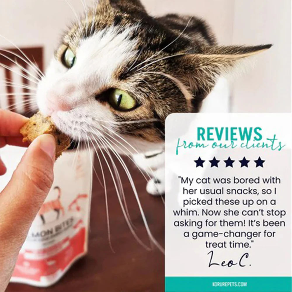 KORURE PETS NZ King Salmon Bites Cat Food Topper 50g - Image 6