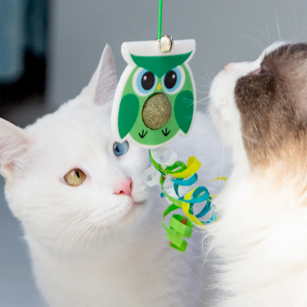 Little Green Bird Hanging Door With Elastic Swing & Catnip Ball Cat Toy - Image 3