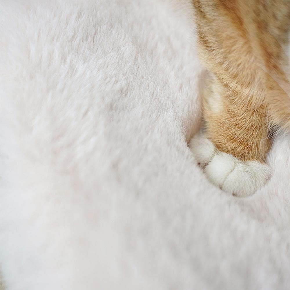 MOBOLI Pink Cushion for Cat Travel Crate & Carriers - Image 4