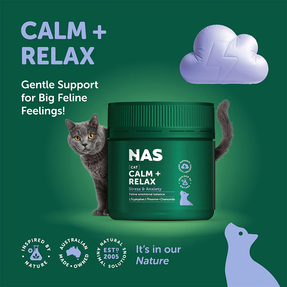 NAS NATURAL ANIMAL SOLUTIONS Calm + Relax For Cats 80g - Image 2