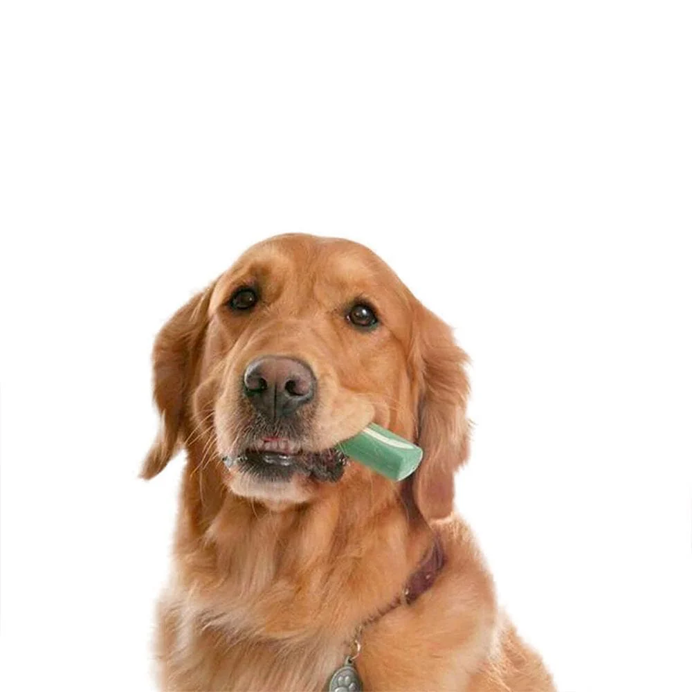 ORAVET Dog Dental Hygiene Chews (11-23kg) 822g - Image 4