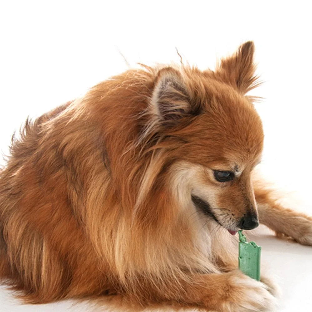ORAVET Dog Dental Hygiene Chews (for Dogs weighing up to 4.5kg) - Image 3