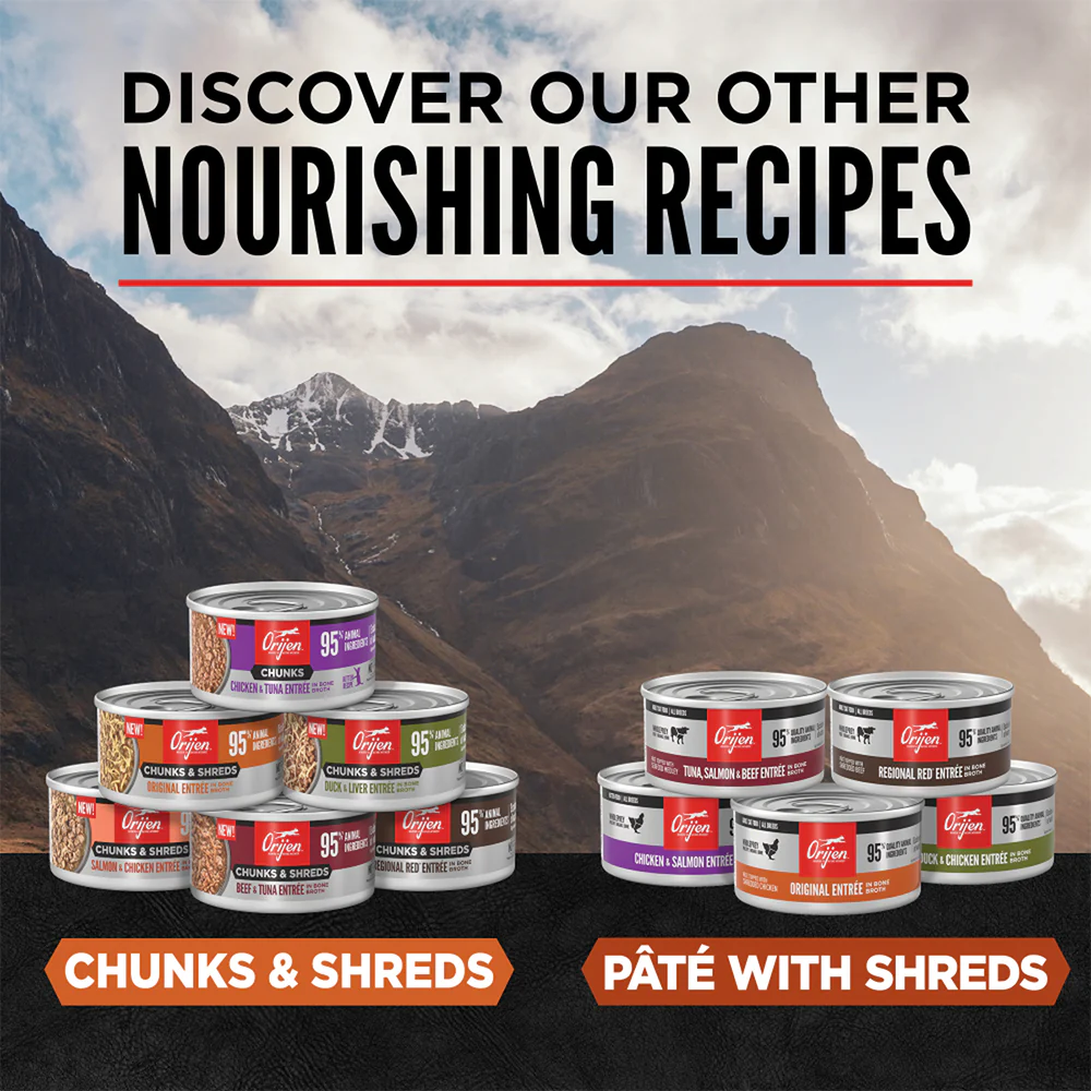 ORIJEN Chunks & Shreds - Original Entrée Adult Wet Cat Food - Image 5