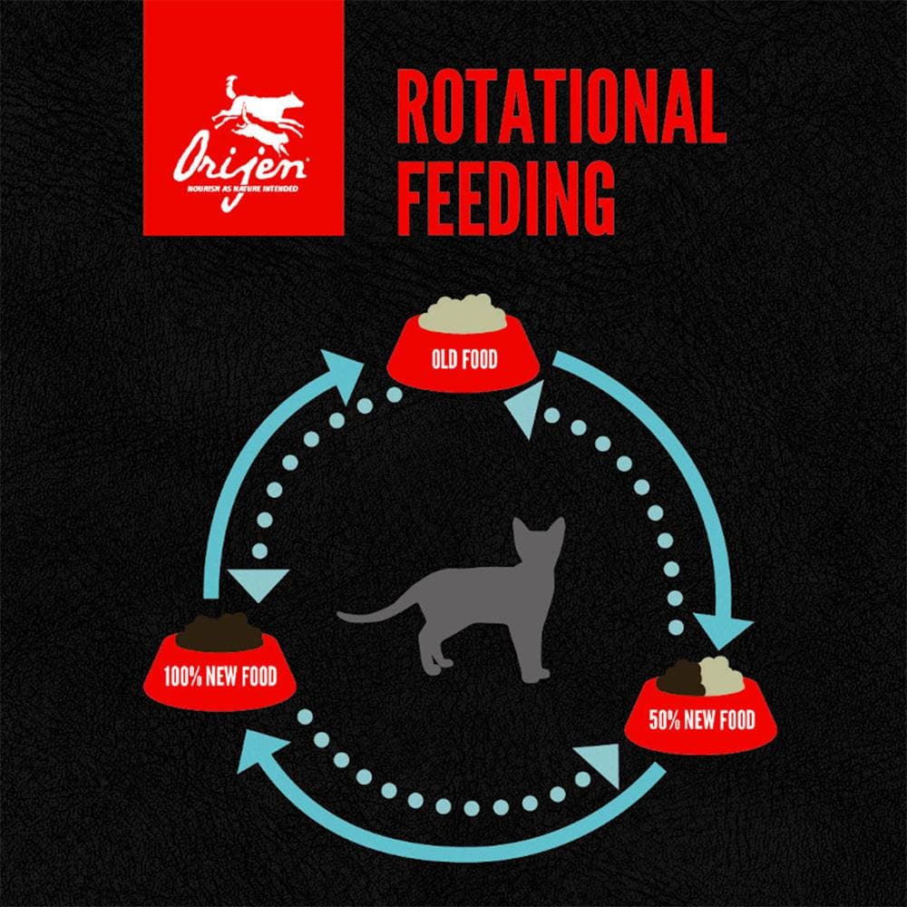 ORIJEN Original Biologically Appropriate Dry Cat Food - Image 9