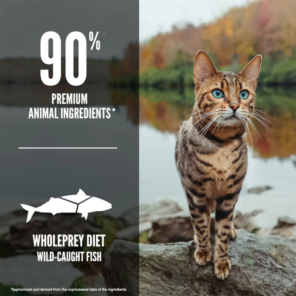 ORIJEN Six Fish Biologically Appropriate Dry Cat Food - Image 3