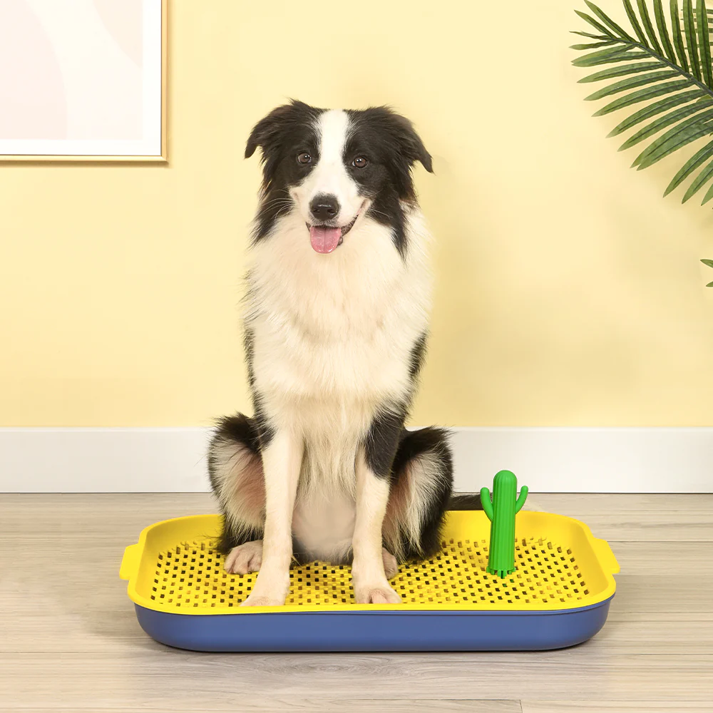 PAKEWAY Blue Cactus Dog Toilet Training Pad - Image 15