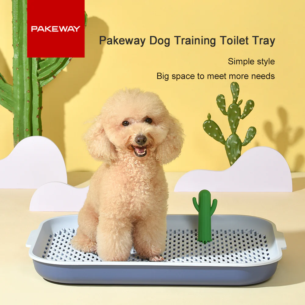 PAKEWAY Blue Cactus Dog Toilet Training Pad - Image 4