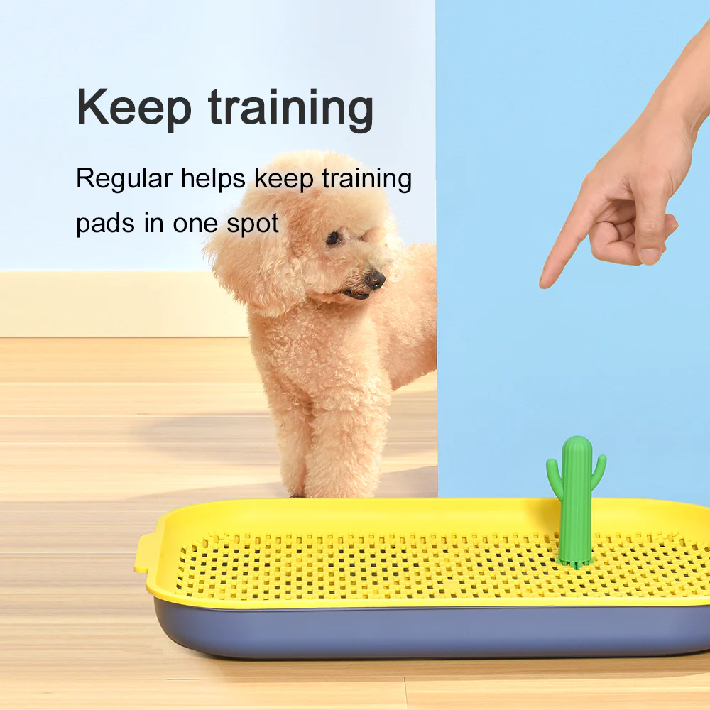 PAKEWAY Yellow Cactus Dog Toilet Training Pad - Image 7