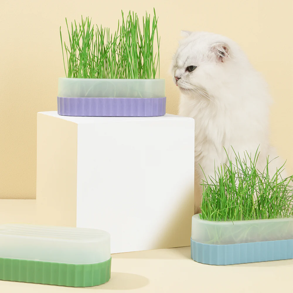 PAKEWAY Green Cat Grass Pot with 2 pcs bags of Wheat Seed - Image 14