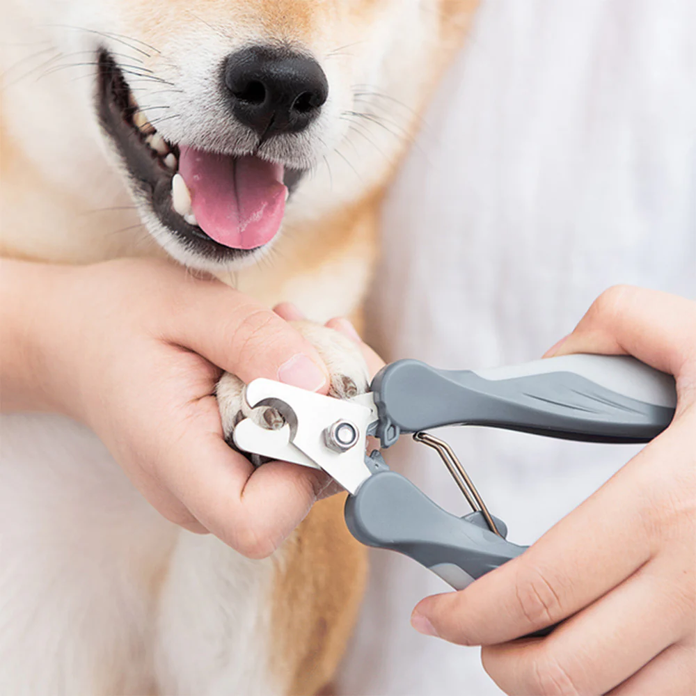 PAKEWAY Aqua Large T9 Dog Nail Clipper - Image 3