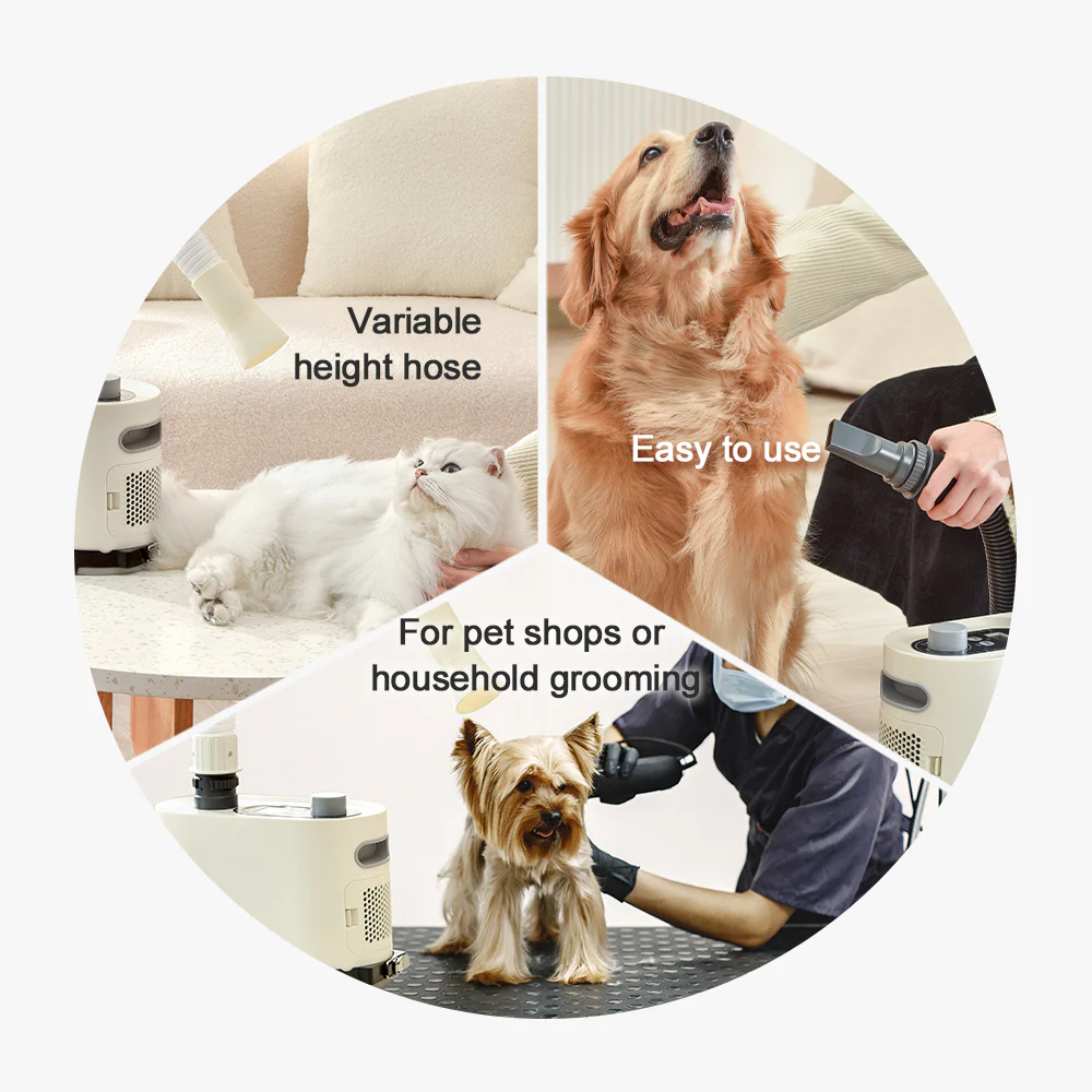 PAKEWAY Pet Grooming Blow Dryer Pro And Accessories - Image 7